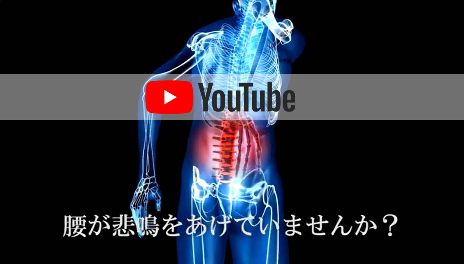 ジェイパスエイブル紹介動画